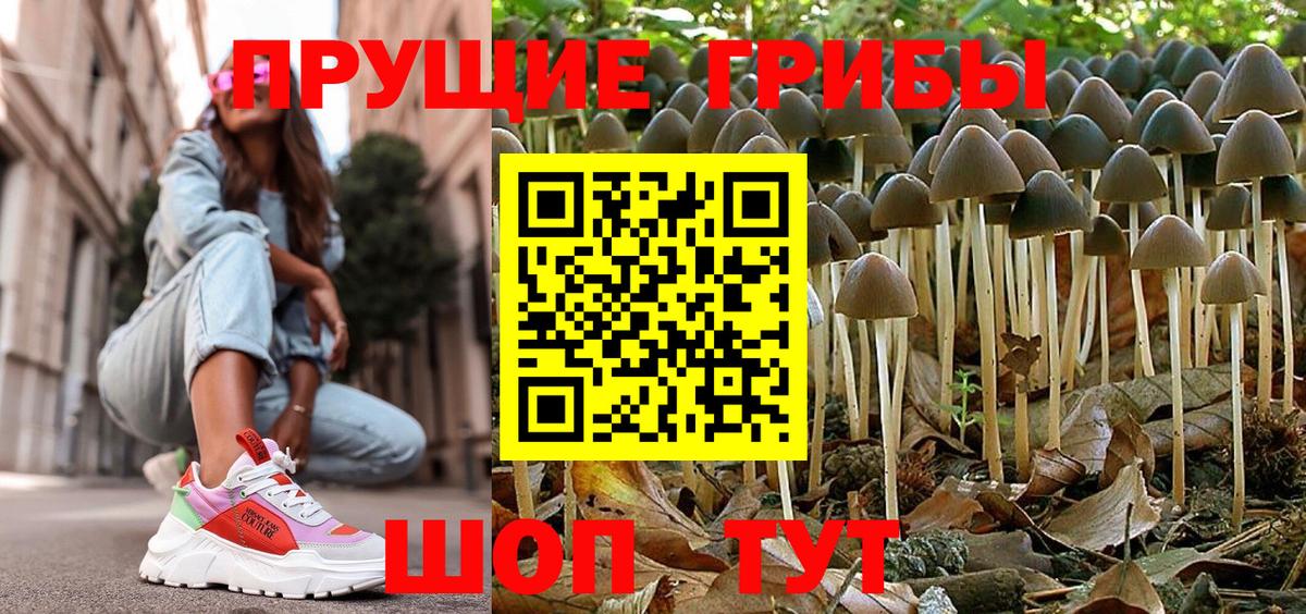Гусиноозёрск  Галлюциногенные грибы прущие грибы  Вход с VPN 