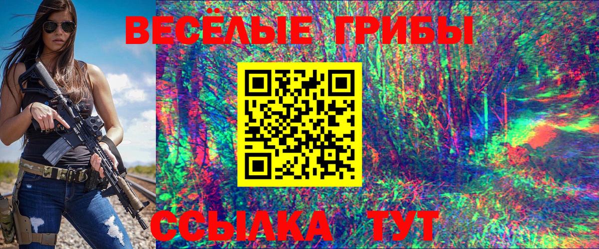 Галлюциногенные грибы MAGIC MUSHROOMS Гусиноозёрск